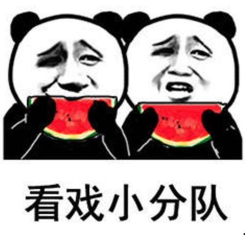 吃瓜表情啥意思是什么,网络热词背后的文化内涵