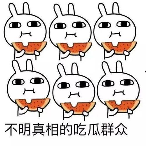 吃瓜娱乐间可爱,可爱瞬间，欢乐无限