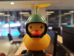 娱乐吃瓜小黄鸭是谁,网络红人的崛起之路