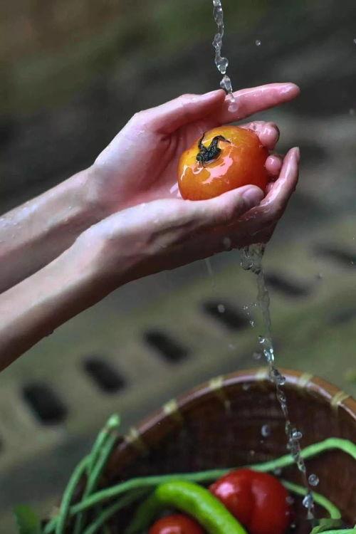 萤火虫娱乐吃瓜,揭秘娱乐圈吃瓜背后的真相与内幕