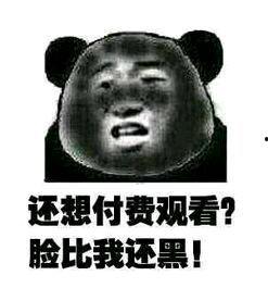 吃瓜的表情是什么意思,网络热词背后的趣味与内涵